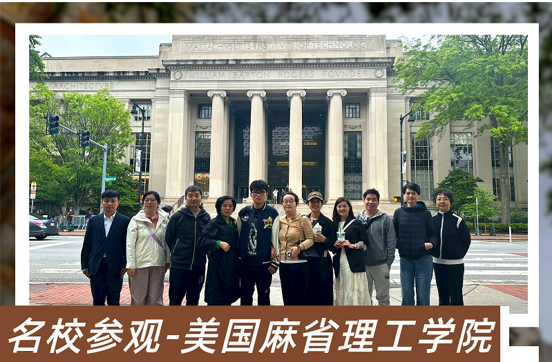 案例展示一